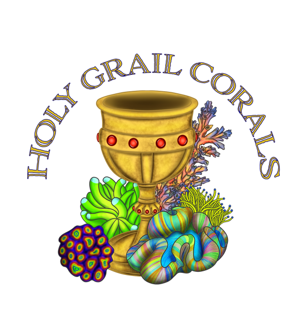 HolyGrailCorals logo